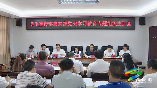 【奮斗百年路 啟航新征程】縣委宣傳部黨支部召開黨史學習教育專題組織生活會
