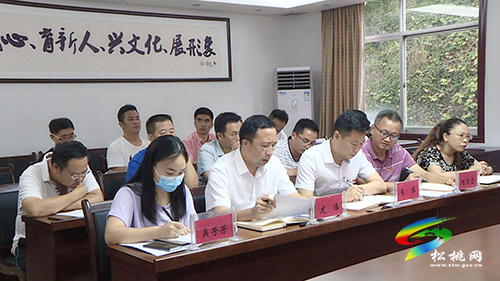 【奮斗百年路 啟航新征程】縣委宣傳部黨支部召開黨史學習教育專題組織生活會