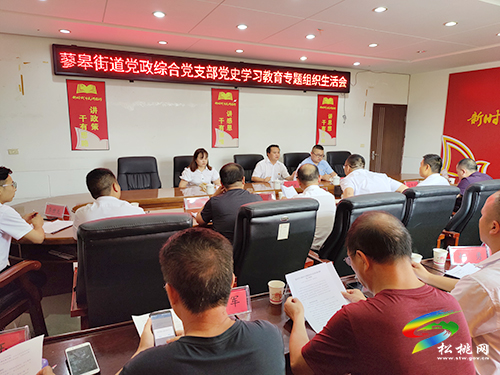 【奮斗百年路 啟航新征程】蓼皋街道黨政綜合黨支部召開黨史學(xué)習(xí)教育專題組織生活會(huì)