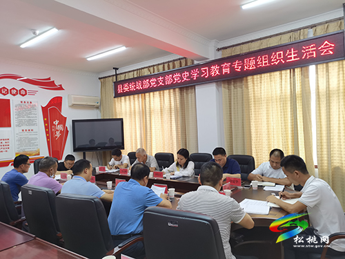 【奮斗百年路 啟航新征程】縣委統(tǒng)戰(zhàn)部黨支部召開黨史學(xué)習(xí)教育專題組織生活會(huì)
