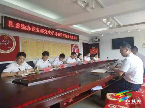 【奮斗百年路 啟航新征程】縣委編辦黨支部召開黨史學(xué)習(xí)教育專題組織生活會