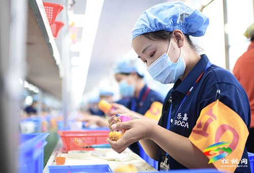 松桃：東西部扶貧協(xié)作促進就業(yè)增收