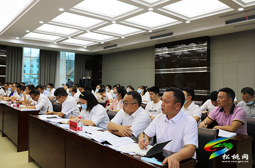 松桃苗族自治縣第十一屆村（社區(qū)）“兩委”換屆工作專題調(diào)度會召開