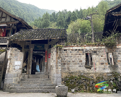 【鄉(xiāng)村振興記者行】永安鄉(xiāng)：以山為基 引水精蘊 拓平道路探振興《一》