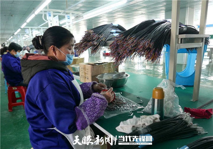 山情海意比翼飛 深化“廣東+貴州”模式推進(jìn)東西部協(xié)作