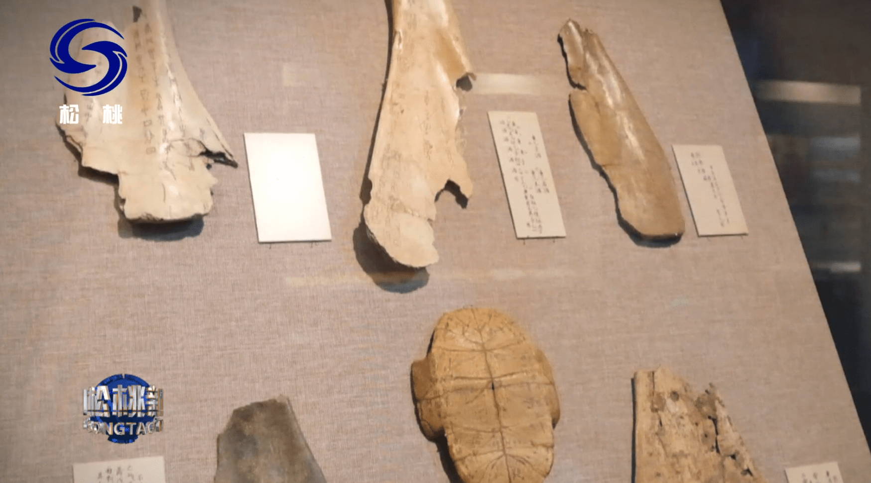 【鄉(xiāng)村振興記者行】苗疆藏靈草　惠澤千萬家