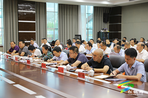 松桃苗族自治縣錳產(chǎn)業(yè)高質(zhì)量發(fā)展及錳污染治理工作攻堅(jiān)推進(jìn)會(huì)召開(kāi)
