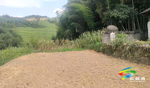 平頭鎮(zhèn)：大力推進(jìn)土地增減掛鉤，勾勒美麗鄉(xiāng)村振興圖