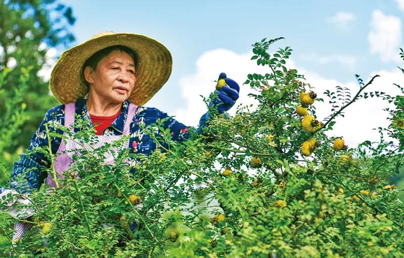 多彩新路越走越寬廣