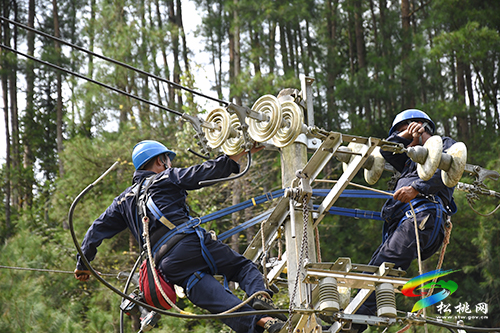松桃：絕緣化改造提升鄉(xiāng)村供電“免疫力”