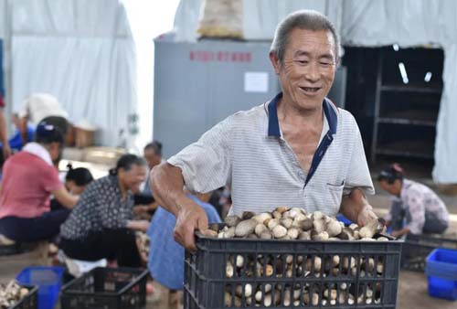 【中國(guó)農(nóng)民豐收節(jié)】松桃：金秋時(shí)節(jié)“畫(huà)”豐收