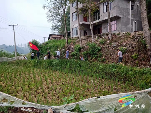 大坪場鎮(zhèn)：做實“三個動作”為群眾辦實事