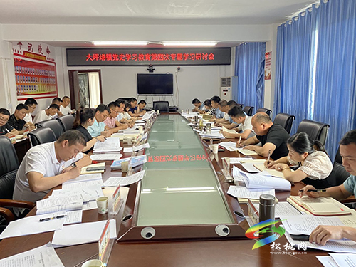 大坪場鎮(zhèn)：做實“三個動作”為群眾辦實事