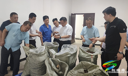 陳浩帶隊到懷化等地考察黃精產(chǎn)業(yè)
