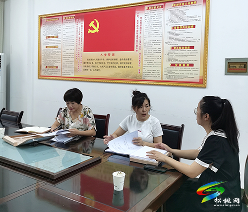 【我為群眾辦實事】松桃開展黨史學(xué)習(xí)教育“我為群眾辦實事”實踐活動大督查