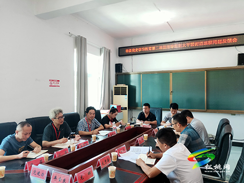 【我為群眾辦實(shí)事】市委黨史學(xué)習(xí)教育第二巡回指導(dǎo)組對(duì)松桃“我為群眾辦實(shí)事”實(shí)踐活動(dòng)開(kāi)展專項(xiàng)督查