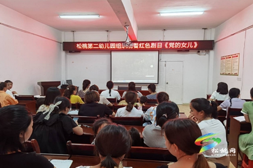 松桃第二幼兒園開展“百年征程鑄輝煌•青春聚力感黨恩”觀影活動(dòng)
