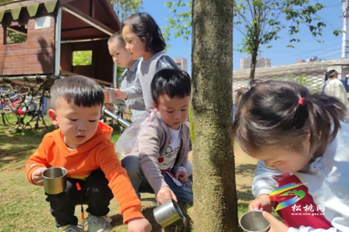 松桃第二幼兒園開(kāi)展“勞動(dòng)真快樂(lè)”“五一”勞動(dòng)節(jié)活動(dòng)