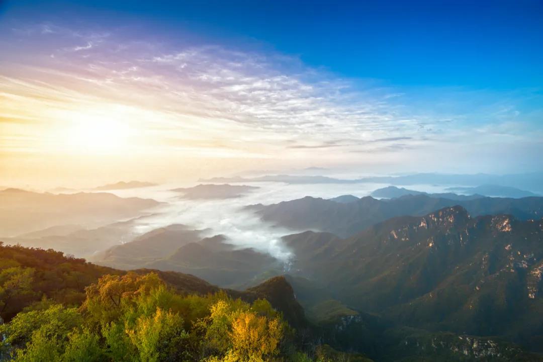 【網(wǎng)絡中國節(jié)·重陽】今日重陽