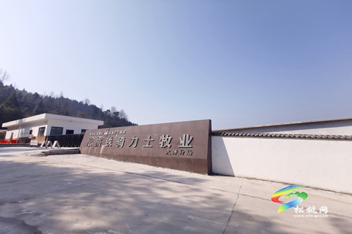 【輝煌五年路　開(kāi)啟新征程】構(gòu)建“3+N”產(chǎn)業(yè)體系　推進(jìn)現(xiàn)代農(nóng)業(yè)綠色發(fā)展