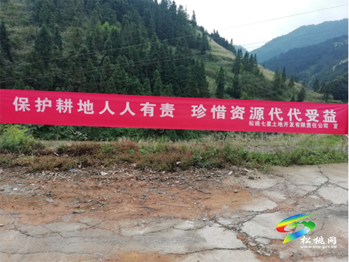 平頭鎮(zhèn)楓香坪村高標準農(nóng)田建設(shè)開工