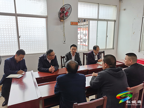 ​馬結(jié)華到蓼皋街道指導(dǎo)村（社區(qū)）“兩委”換屆以及調(diào)研社會(huì)治理、集體經(jīng)濟(jì)發(fā)展等有關(guān)工作