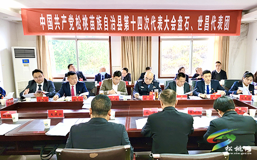 吳廷友參加中國共產(chǎn)黨松桃苗族自治縣第十四次代表大會(huì)盤石、世昌代表團(tuán)分組討論會(huì)