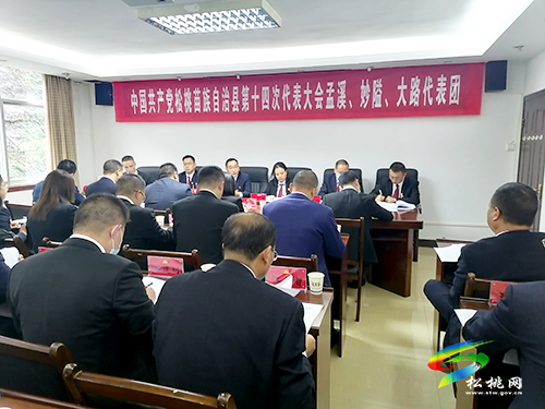 丁和平參加中國共產(chǎn)黨松桃苗族自治縣第十四次代表大會(huì)孟溪、妙隘、大路代表團(tuán)分組討論會(huì)