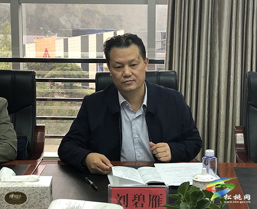 ​省能源局來松桃調(diào)研新能源開展情況及錳污染治理工作