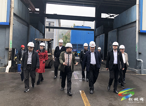 ​省能源局來松桃調(diào)研新能源開展情況及錳污染治理工作
