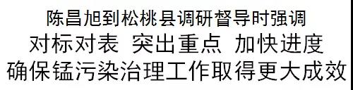 陳昌旭到松桃縣調(diào)研督導(dǎo)錳污染治理工作