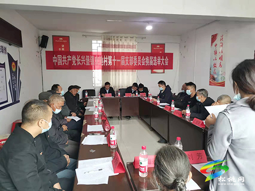 石敏到長興堡鎮(zhèn)指導(dǎo)第十一屆村黨組織換屆選舉工作