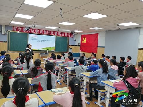 普覺片區(qū)教育集團(tuán)校開展小學(xué)教研活動(dòng)