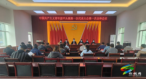 中國共產(chǎn)主義青年團平頭鎮(zhèn)第一次代表大會順利召開