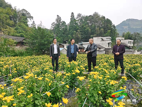 馬結(jié)華到牛郎、沙壩、普覺調(diào)研
