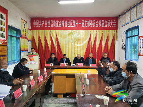 舒鴻到世昌街道指導第十一屆社區(qū)支部委員會換屆選舉工作