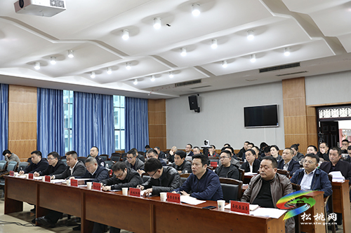 松桃苗族自治縣鞏固拓展脫貧攻堅成果同鄉(xiāng)村振興有效銜接工作推進會召開