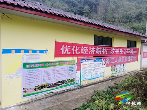 黃板鎮(zhèn)開展“鄉(xiāng)村振興e貸”宣傳，助力鄉(xiāng)村產(chǎn)業(yè)振興