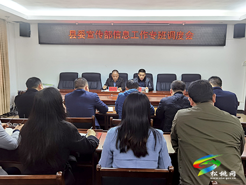 縣委宣傳部信息專班工作調(diào)度會(huì)召開