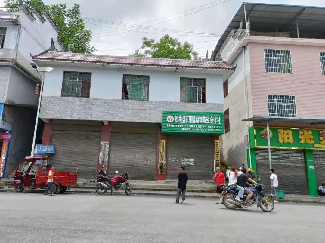 盤石鎮(zhèn)人民政府資產(chǎn)擬處置公告
