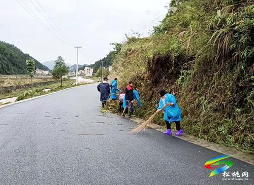 ​平頭鎮(zhèn)開展“人居環(huán)境衛(wèi)生整治”系列志愿服務(wù)活動(dòng)