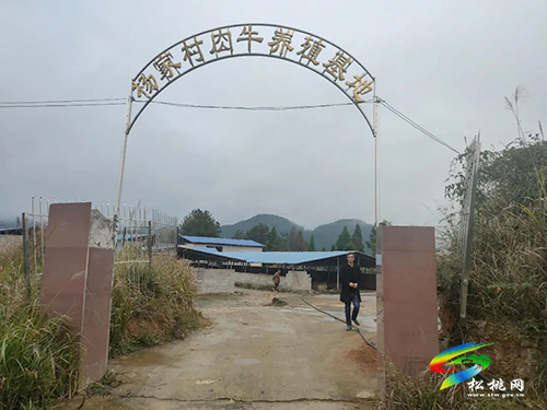 松桃職校畜牧獸醫(yī)專業(yè)下鄉(xiāng)調(diào)研為鄉(xiāng)村產(chǎn)業(yè)服務(wù)
