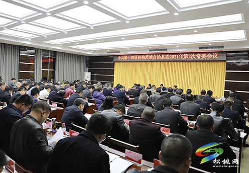 中共第十四屆松桃苗族自治縣委2021年第2次常委會議召開