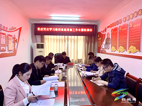 松桃黨史學(xué)習(xí)教育宣傳工作精準(zhǔn)發(fā)力