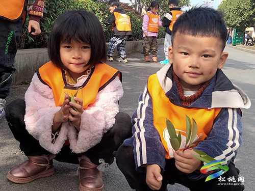 大自然走進幼兒手工課堂