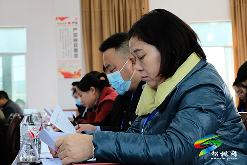 孟溪鎮(zhèn)第八屆人民代表大會第一次會議勝利召開