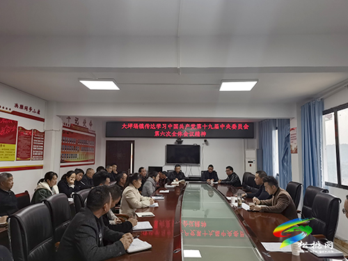 大坪場鎮(zhèn)傳達學習黨的十九屆六中全會精神