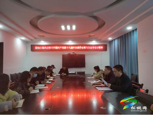松桃統(tǒng)計(jì)局傳達(dá)學(xué)習(xí)黨的十九屆六中全會(huì)精神