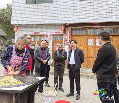 王飚到松桃督導(dǎo)調(diào)研鄉(xiāng)村振興、生態(tài)環(huán)境問題整改及畜禽養(yǎng)殖污染治理工作