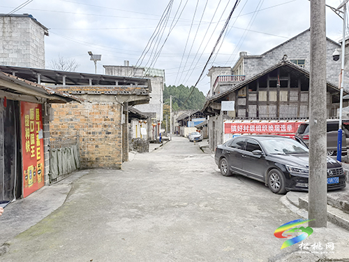 王飚到松桃督導(dǎo)調(diào)研鄉(xiāng)村振興、生態(tài)環(huán)境問題整改及畜禽養(yǎng)殖污染治理工作